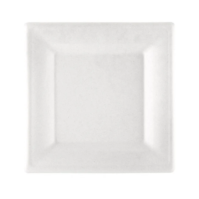 Assiette pulpe carrée blanche 20x20