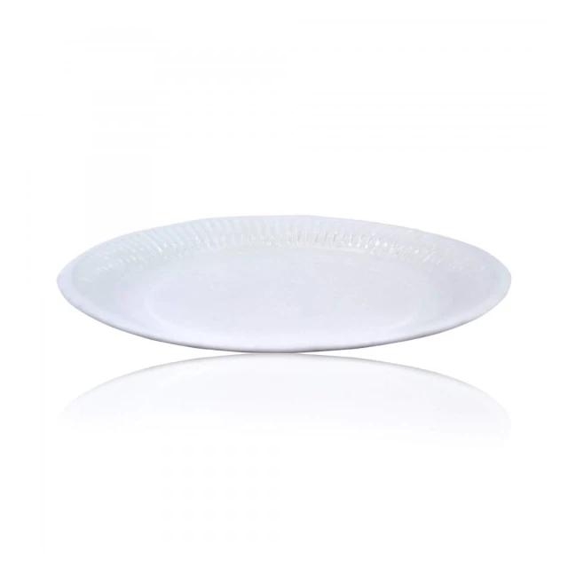 Assiette carton blanche biodégradable D23