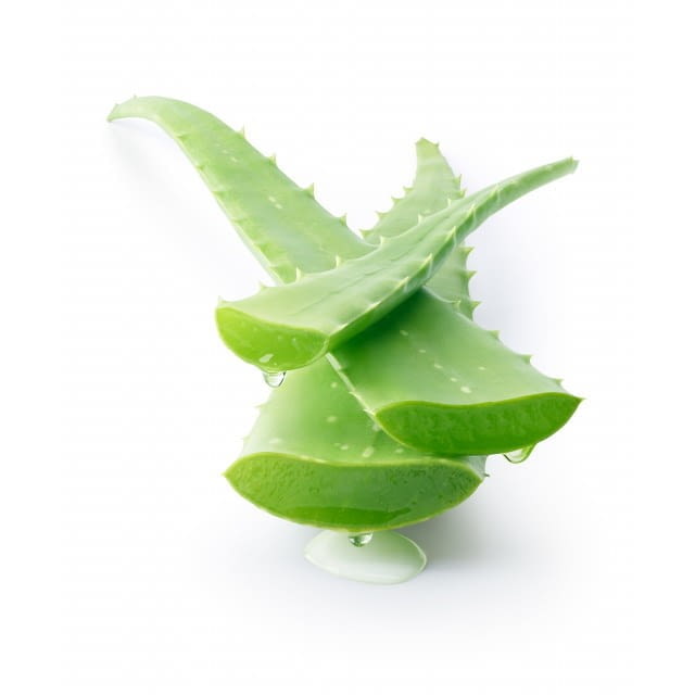 Aloe vera Bio