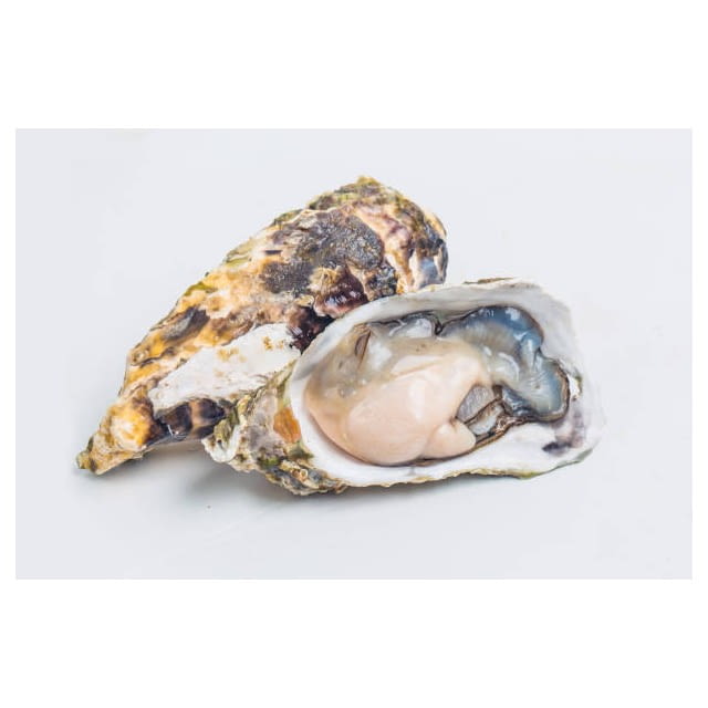 Blue point oyster on Foodomarket 1 offer