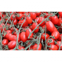 Isle Of Wight Mixed Heritage Beefsteak Tomatoes 1 5kg