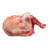 Epaule d'agneau avec os Halal En précommande