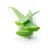Aloe vera Bio CAL 02 CAT 1